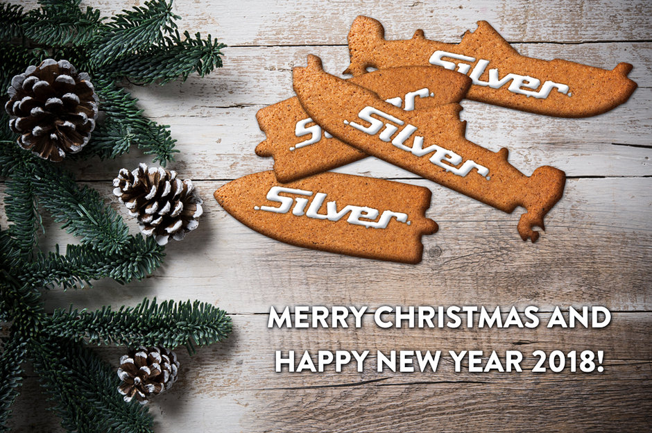 Silver happy holidays 2017